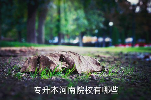  專(zhuān)升本河南院校有哪些