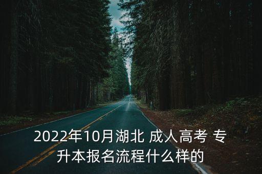 2022年10月湖北 成人高考 專升本報名流程什么樣的