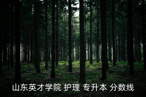 山東英才學院 護理 專升本 分數(shù)線