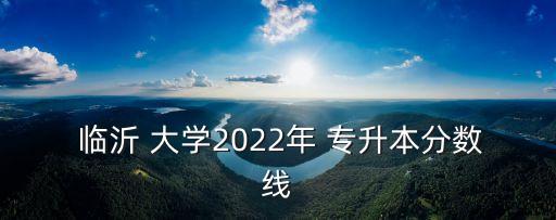  臨沂 大學(xué)2022年 專升本分?jǐn)?shù)線