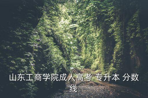 山東工商學(xué)院成人高考 專升本 分數(shù)線