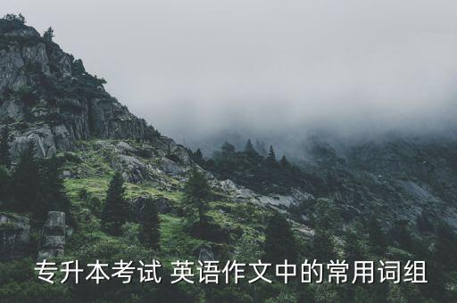  專升本考試 英語作文中的常用詞組