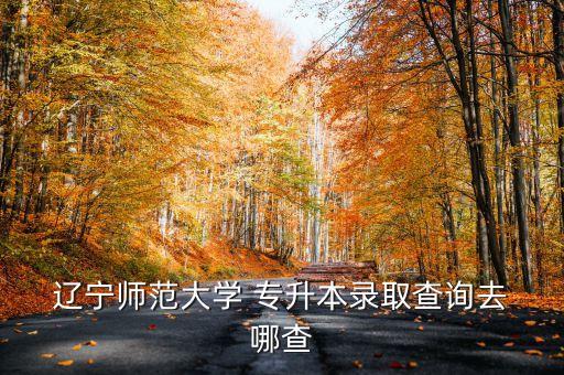  遼寧師范大學(xué) 專升本錄取查詢?nèi)?哪查