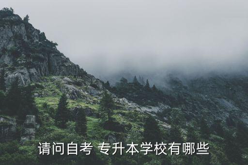 請(qǐng)問(wèn)自考 專升本學(xué)校有哪些