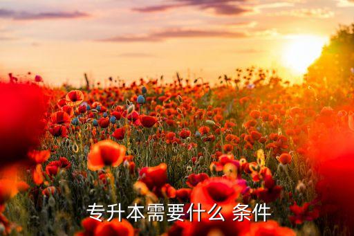 專升本中級(jí)職稱評(píng)定條件,2022年中級(jí)職稱評(píng)定條件