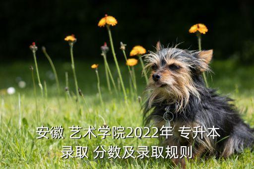  安徽 藝術(shù)學院2022年 專升本錄取 分數(shù)及錄取規(guī)則