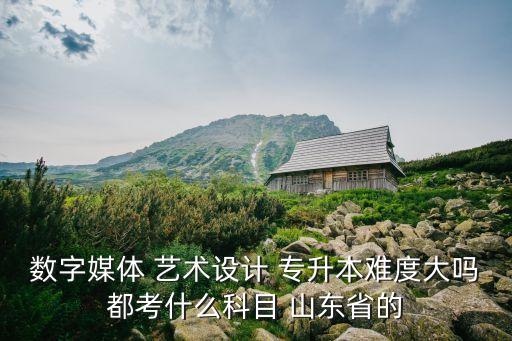 數(shù)字媒體 藝術設計 專升本難度大嗎都考什么科目 山東省的