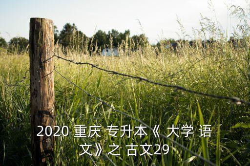 2020 重慶 專升本《 大學(xué) 語(yǔ)文》之 古文29