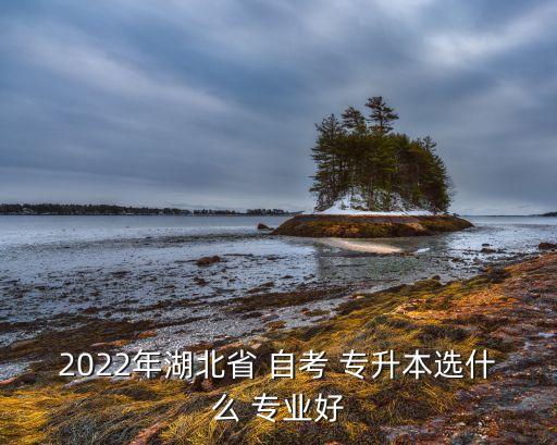 2022年湖北省 自考 專升本選什么 專業(yè)好