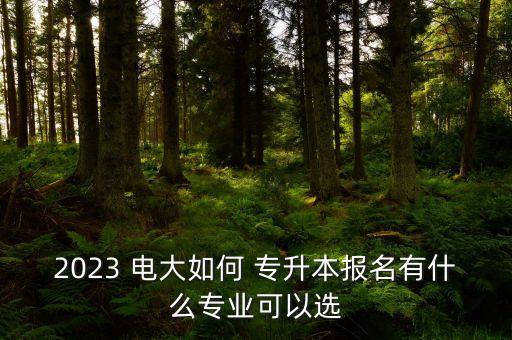 2023 電大如何 專升本報名有什么專業(yè)可以選