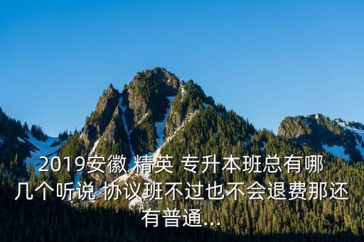 2019安徽 精英 專升本班總有哪幾個(gè)聽說 協(xié)議班不過也不會(huì)退費(fèi)那還有普通...