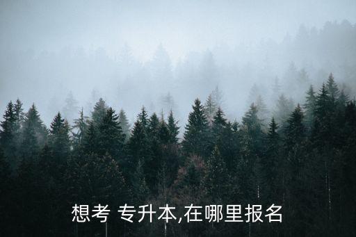 想考 專升本,在哪里報(bào)名