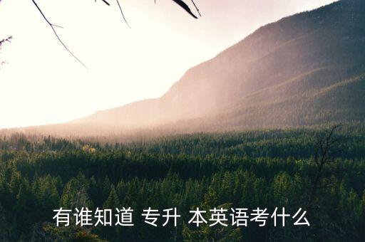 有誰(shuí)知道 專升 本英語(yǔ)考什么