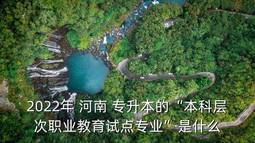 2022年 河南 專升本的“本科層次職業(yè)教育試點(diǎn)專業(yè)”是什么