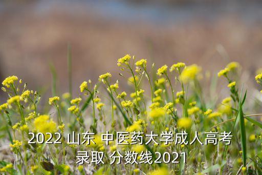 2022 山東 中醫(yī)藥大學(xué)成人高考錄取 分?jǐn)?shù)線2021