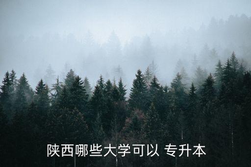  陜西哪些大學(xué)可以 專升本