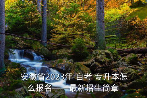  安徽省2023年 自考 專升本怎么報(bào)名——最新招生簡章