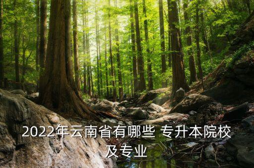 2022年云南省有哪些 專升本院校及專業(yè)