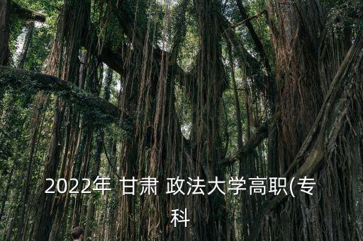 2022年 甘肅 政法大學(xué)高職(專科