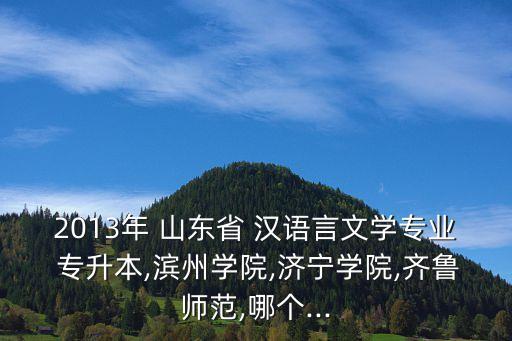 2013年 山東省 漢語言文學(xué)專業(yè) 專升本,濱州學(xué)院,濟寧學(xué)院,齊魯師范,哪個...