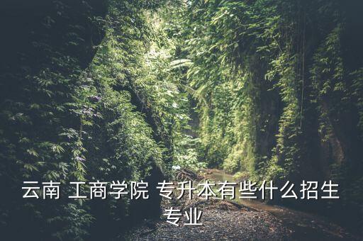 云南 工商學(xué)院 專升本有些什么招生 專業(yè)