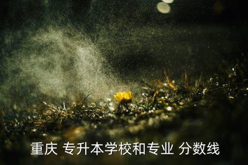 重慶師范專升本錄考分?jǐn)?shù),重慶第二師范專升本招生簡章