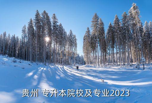 貴州 專升本院校及專業(yè)2023