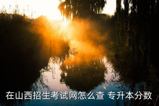 在山西招生考試網(wǎng)怎么查 專升本分?jǐn)?shù)