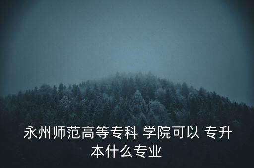  永州師范高等?？?學(xué)院可以 專升本什么專業(yè)