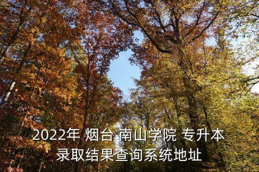 2022年 煙臺(tái) 南山學(xué)院 專升本錄取結(jié)果查詢系統(tǒng)地址