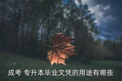 成人專升本學位證有用嗎,成考拿不到學位證白讀了么