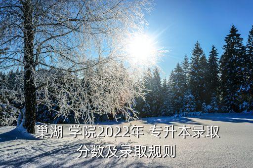  巢湖 學院2022年 專升本錄取分數(shù)及錄取規(guī)則