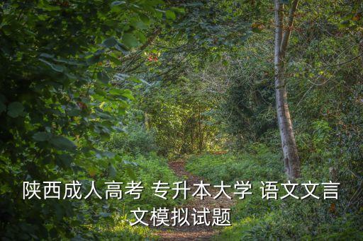 陜西成人高考 專升本大學(xué) 語(yǔ)文文言文模擬試題