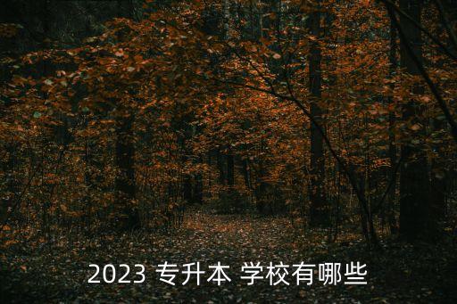 2023 專升本 學(xué)校有哪些