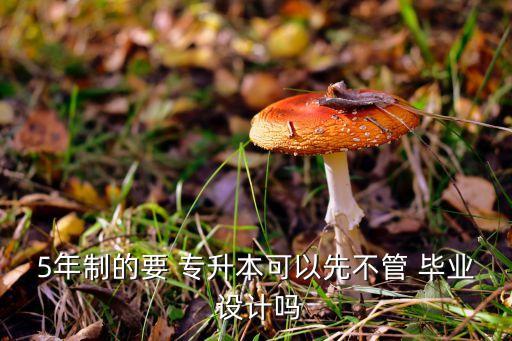 5年制的要 專升本可以先不管 畢業(yè) 設(shè)計嗎