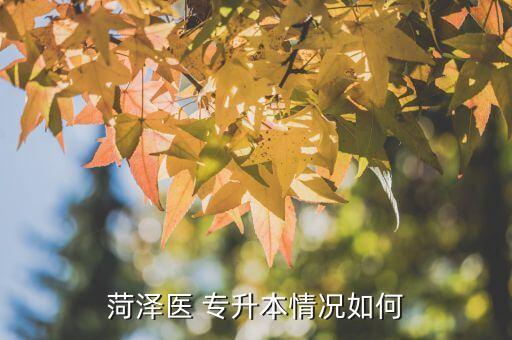 菏澤醫(yī) 專升本情況如何