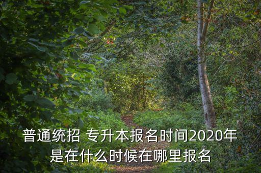 普通統(tǒng)招 專升本報名時間2020年是在什么時候在哪里報名