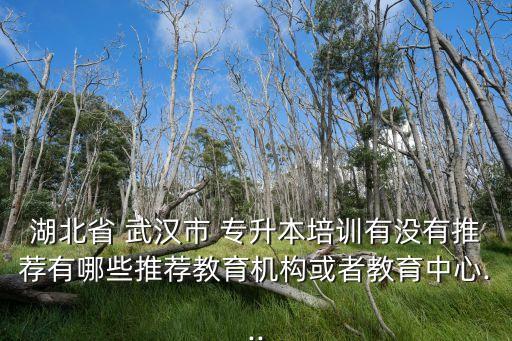 湖北省 武漢市 專升本培訓(xùn)有沒(méi)有推薦有哪些推薦教育機(jī)構(gòu)或者教育中心...