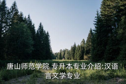 唐山師范學(xué)院 專升本專業(yè)介紹:漢語(yǔ)言文學(xué)專業(yè)