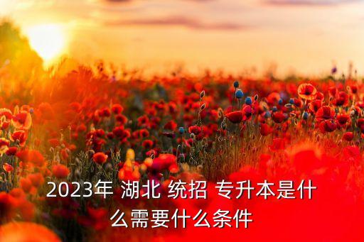 2023年 湖北 統(tǒng)招 專升本是什么需要什么條件