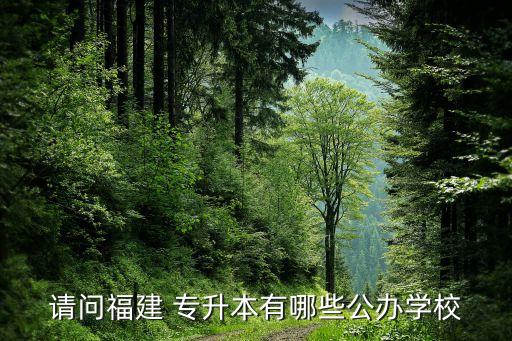 請(qǐng)問福建 專升本有哪些公辦學(xué)校
