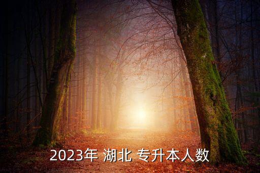 2023年 湖北 專升本人數(shù)