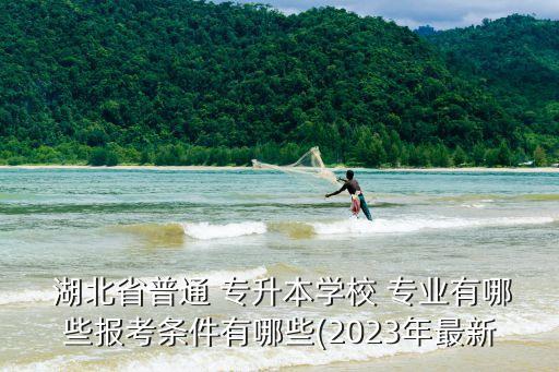  湖北省普通 專升本學校 專業(yè)有哪些報考條件有哪些(2023年最新