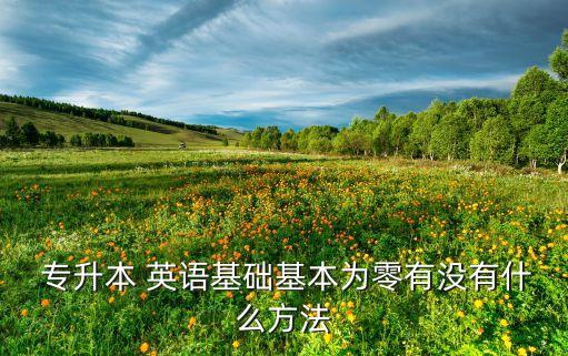  專升本 英語(yǔ)基礎(chǔ)基本為零有沒(méi)有什么方法