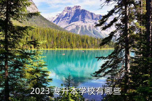 2023 專升本學(xué)校有哪些