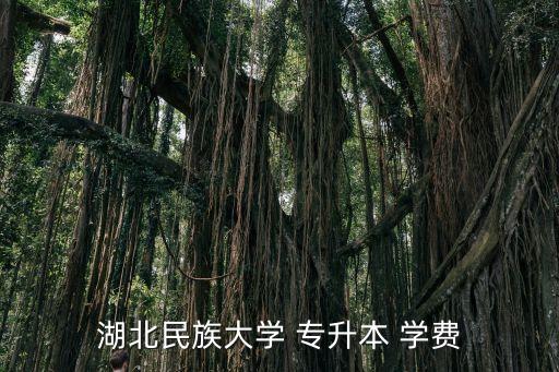 湖北民族大學 專升本 學費