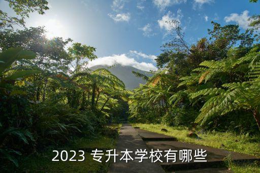 2023 專升本學(xué)校有哪些