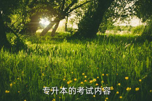  專升本的考試內(nèi)容