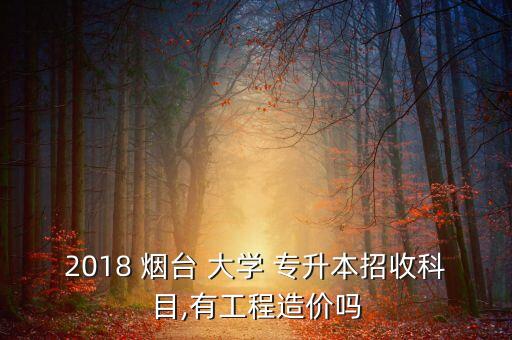 2018 煙臺 大學(xué) 專升本招收科目,有工程造價嗎