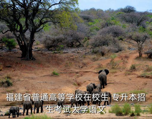 福建省普通高等學(xué)校在校生 專升本招生考試大學(xué)語文